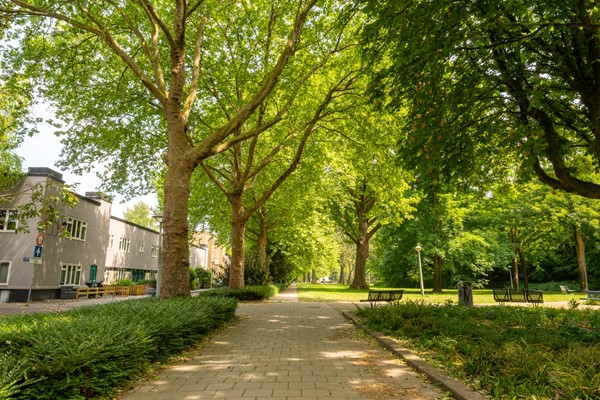 Medium property photo - Oogststraat 3h, 1097 ZR Amsterdam